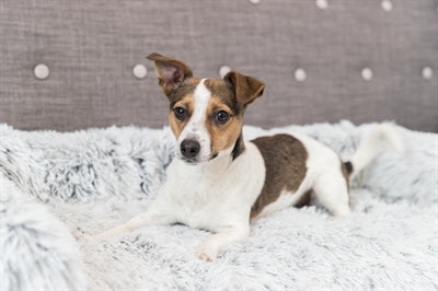Trixie Schlafsofa Harvey Möbelschutz Eckig Weiss/Schwarz